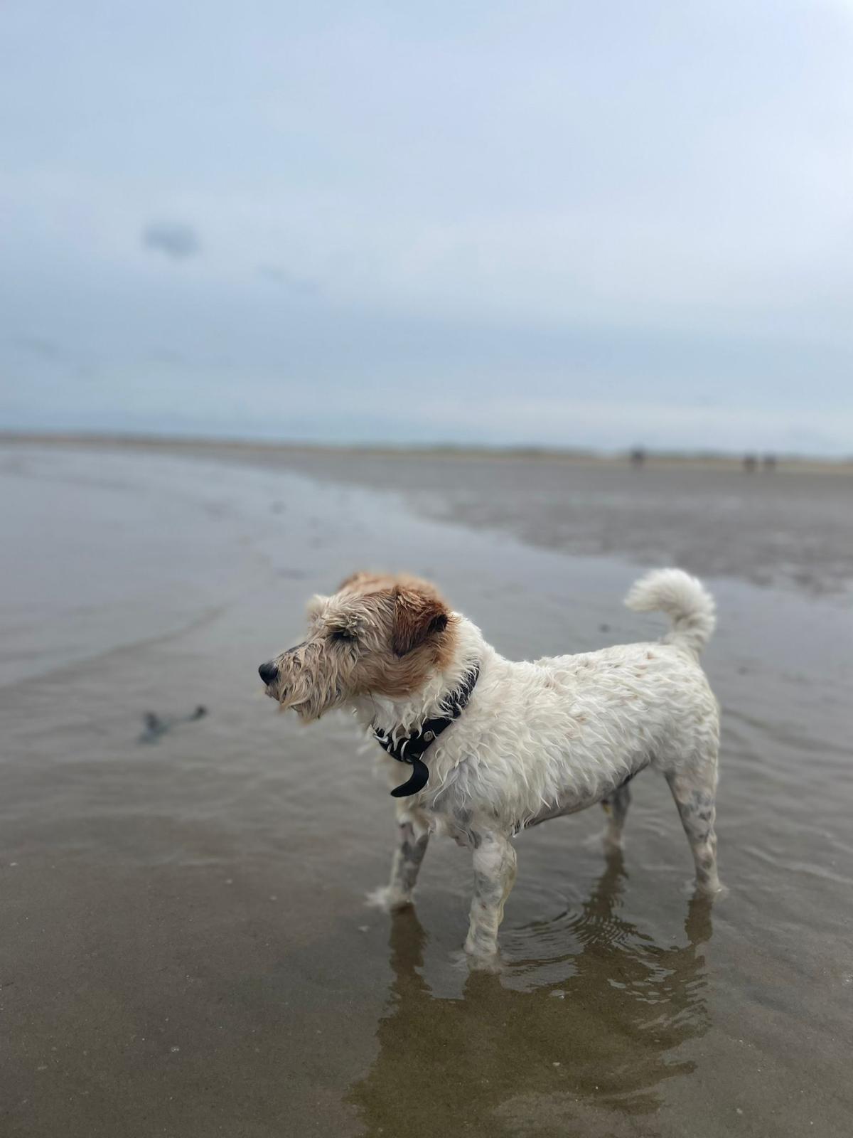 80d72528 7adc 469b 8f05 8ed5f58e4e49