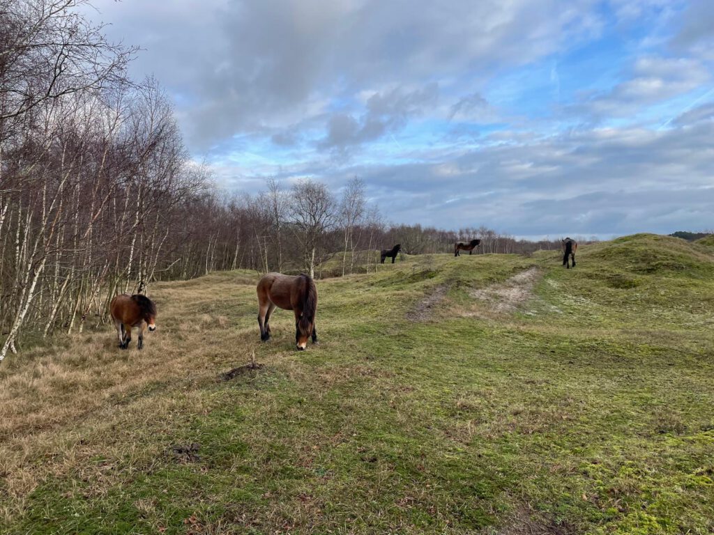 9385b010 eb82 4b18 b38d b884abfd5fad