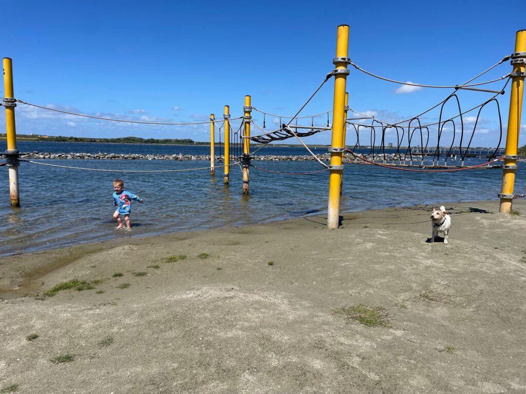 da167b67 bc4d 40ef b4ea 720f937188ad